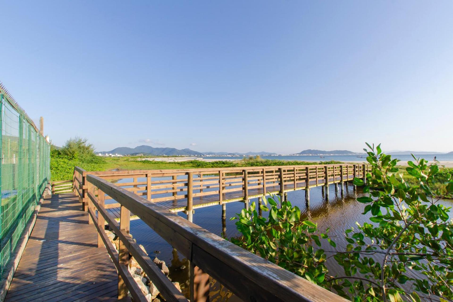 Apto Pe Na Areia Em Condominio Com Piscina N1298 フロリアノポリス エクステリア 写真
